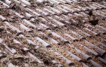 Latheronwheel roof cleaning companies